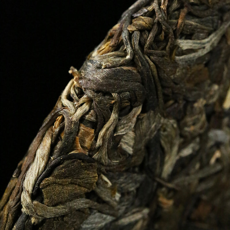 2023年原山系列-布朗山